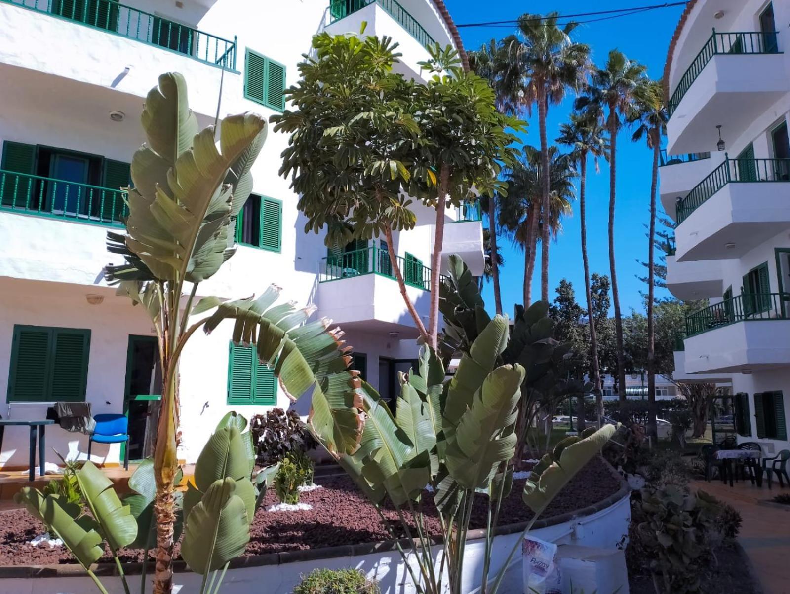 Canarian Havaii en Faluas Playa del Inglés Exterior foto